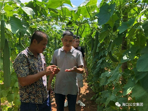 image004.jpg image004.jpg