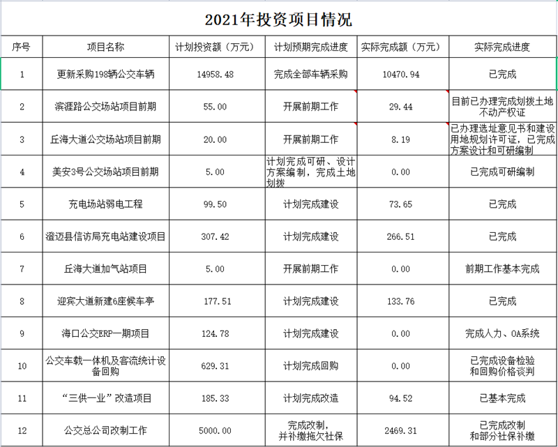 集團(tuán)規(guī)劃部2021年投資項(xiàng)目情況_副本.png